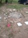 IMG_20260806_170148_308